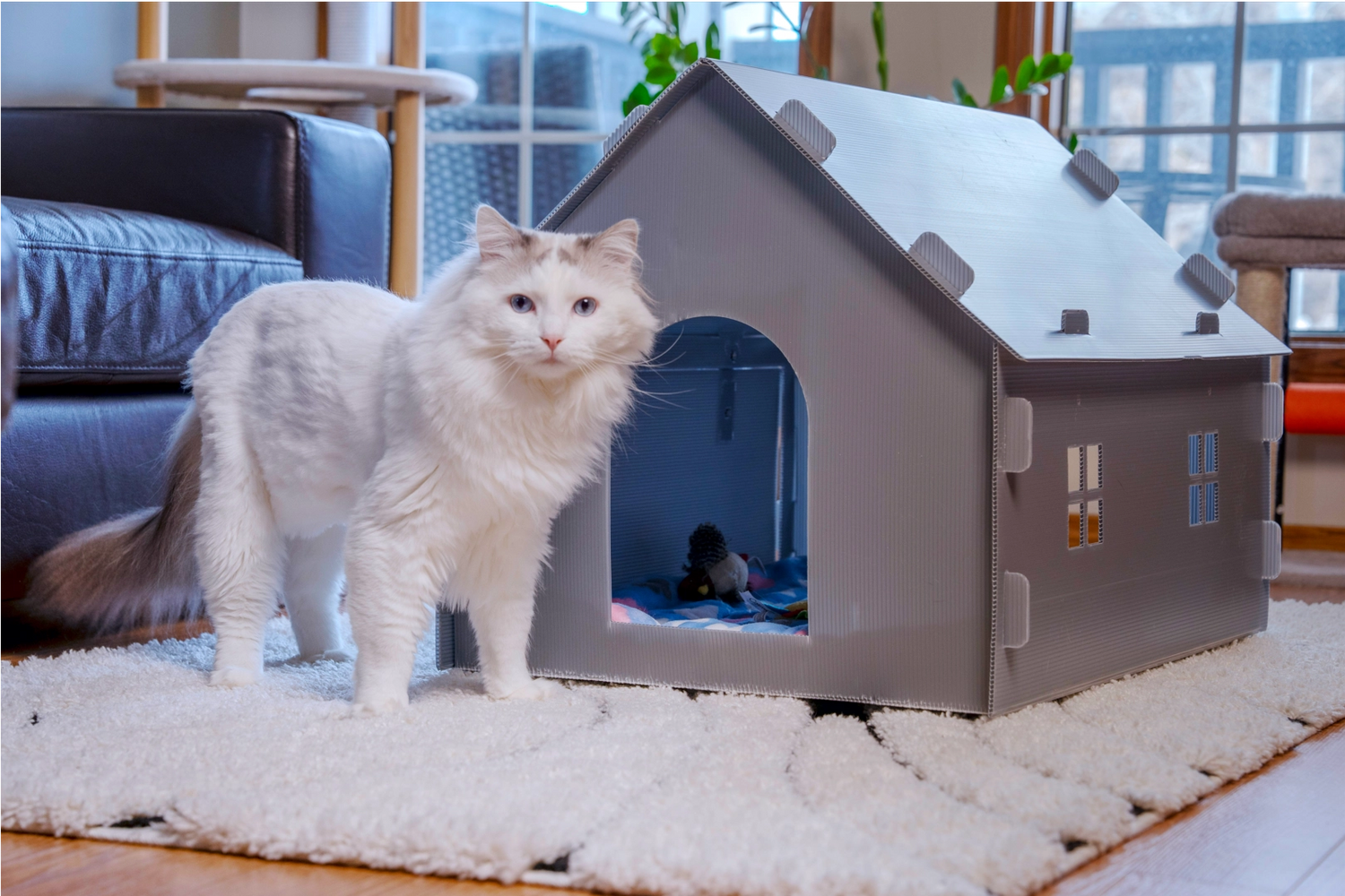 Purrta portable cat litter box enclosure and pet house with white cat standing at the entrance in a living room