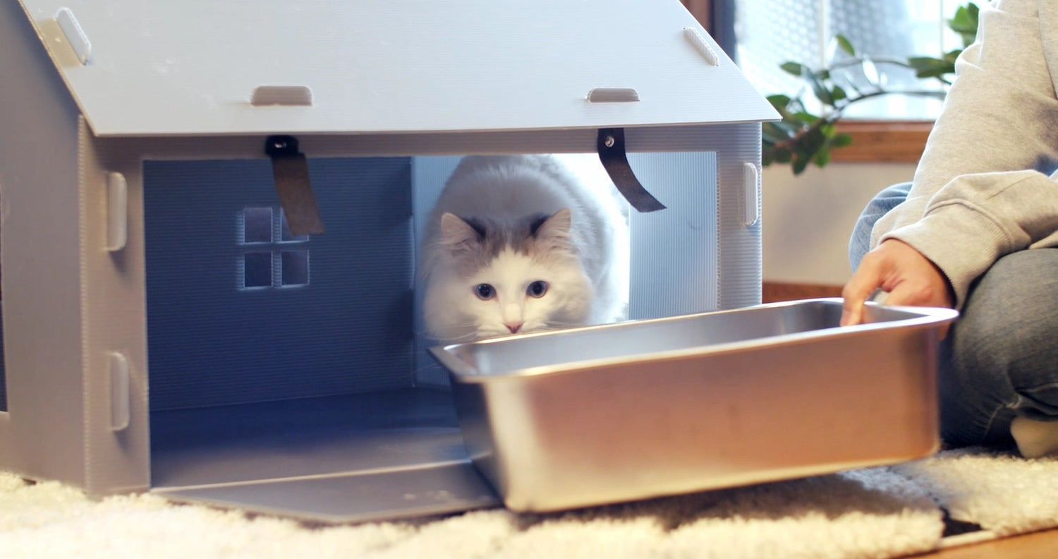 Cat inside Purrta enclosed litter box house while owner slides in a litter tray